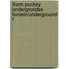 Thom puckey ondergrondse fontein/underground f door Onbekend