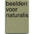 Beelden voor Naturalis