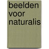 Beelden voor Naturalis door F. de Wit