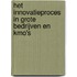 Het innovatieproces in grote bedrijven en kmo's