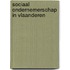 sociaal ondernemerschap in vlaanderen