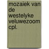 Mozaiek van de westelyke veluwezoom cpl. door Onbekend