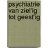 Psychiatrie van ziel'ig tot geest'ig