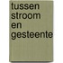 Tussen stroom en gesteente