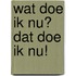 Wat doe ik nu? Dat doe ik nu!
