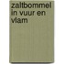 Zaltbommel in vuur en vlam