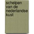 Schelpen van de nederlandse kust