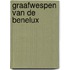 Graafwespen van de Benelux