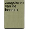 Zoogdieren van de benelux by Rogier Lange