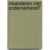 Vlaanderen niet ondernemend? door S. de Winne