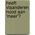 Heeft Vlaanderen nood aan 'meer'?