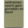 Veldnamen voorm.gem. ginneken en bavel door Buiks