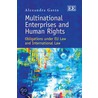 Multinational enterprises and human rights door Alexandria Gatto