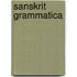 Sanskrit Grammatica