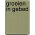 Groeien in gebed