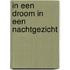 In een droom in een nachtgezicht