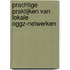 Prachtige praktijken van lokale OGGZ-netwerken