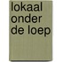 Lokaal onder de loep