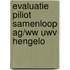 Evaluatie Piliot Samenloop ag/ww UWV Hengelo