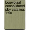 Bouwplaat Consolidated PBY Catalina, 1:50 door Onbekend