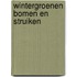 Wintergroenen bomen en struiken
