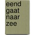 Eend gaat naar zee