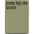 Joep bij de sloot