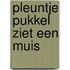 Pleuntje pukkel ziet een muis