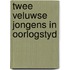 Twee veluwse jongens in oorlogstyd