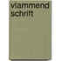 Vlammend schrift