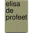 Elisa de profeet