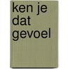 Ken je dat gevoel by Vliet