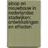 Sloop en nieuwbouw in Nederlandse stadwijken; ontwikkelingen en effecten