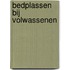 Bedplassen bij volwassenen