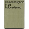 Kleinschaligheid in de hulpverlening door David Broek