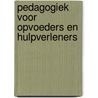 Pedagogiek voor opvoeders en hulpverleners by Peter Maas