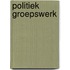 Politiek groepswerk
