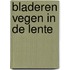 Bladeren vegen in de lente