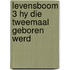 Levensboom 3 hy die tweemaal geboren werd