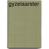 Gyzelaarster by Renier