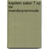 Kapitein sabel 7 op de mandarynenroute