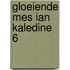 Gloeiende mes ian kaledine 6