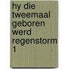 Hy die tweemaal geboren werd regenstorm 1 door Derib