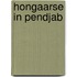 Hongaarse in pendjab