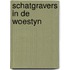 Schatgravers in de woestyn