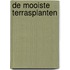 De mooiste terrasplanten