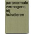 Paranormale vermogens bij huisdieren