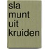 Sla munt uit kruiden