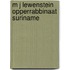 M j lewenstein opperrabbinaat suriname