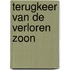 Terugkeer van de verloren zoon